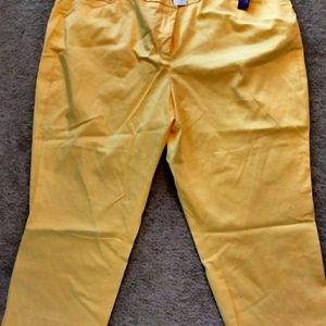 Lane Bryant Size 26 Crop Yellow Pant